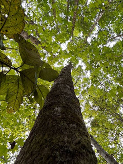 omgeving van psycholoog praktijk Den Bosch