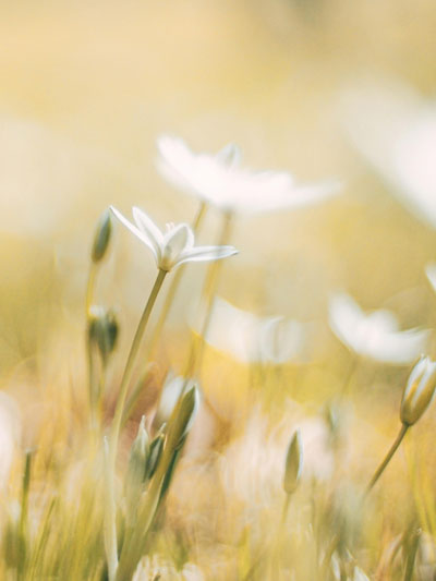 sfeerafbeelding van PsycholoogDenBosch